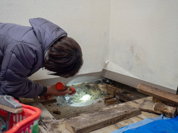 Asbestos and Lead Testing During Mold Inspection in Pomona, NJ